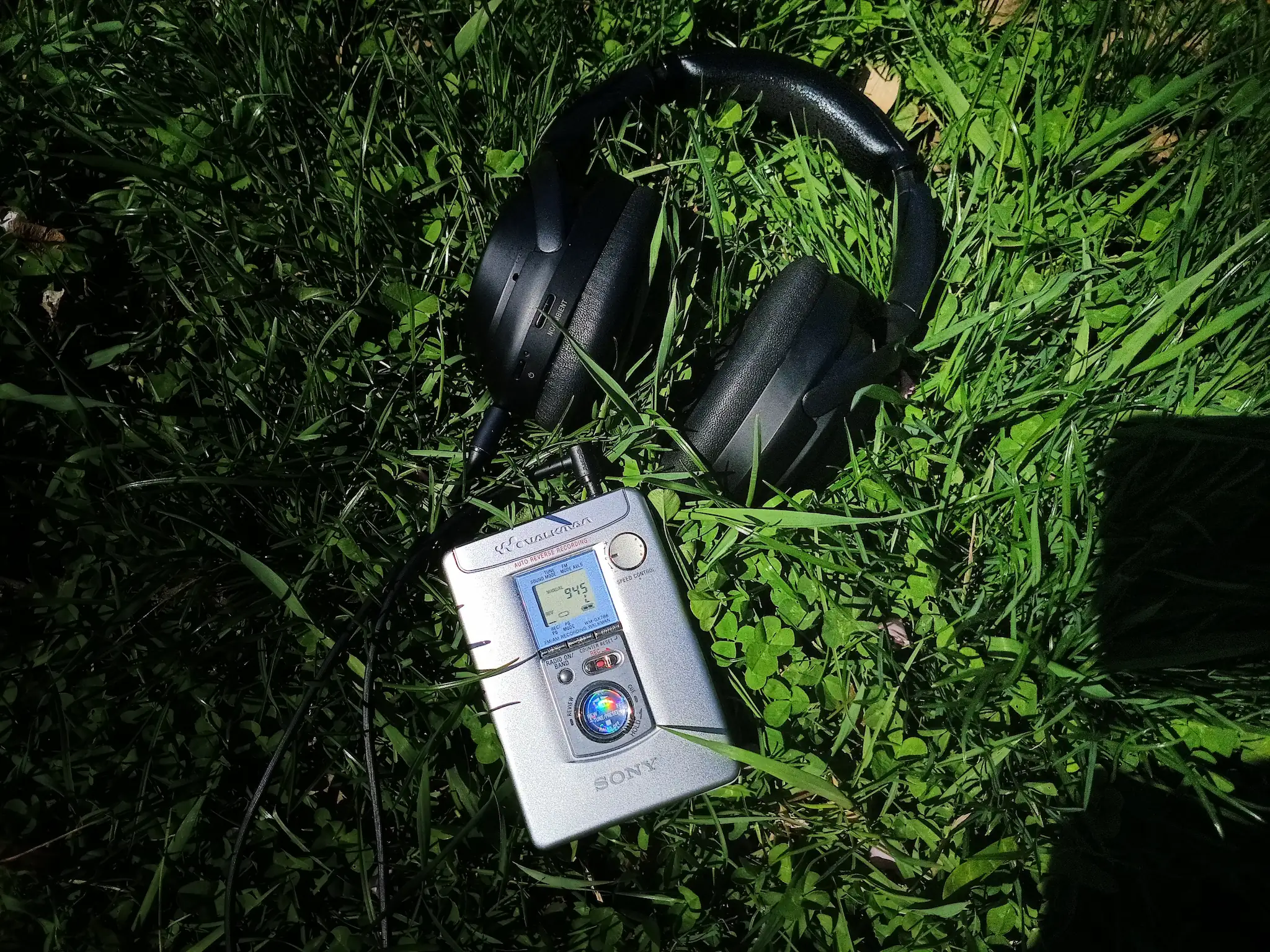 在家门口的草地上拍了这张照片