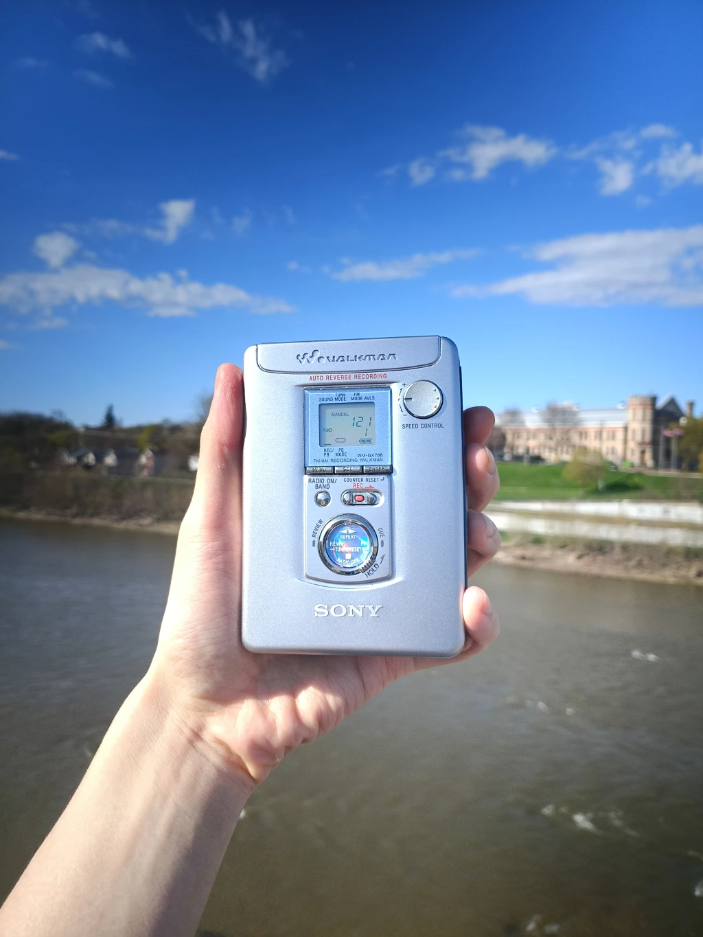 从超市回出租屋的路上，站在桥上给它拍了一张照片