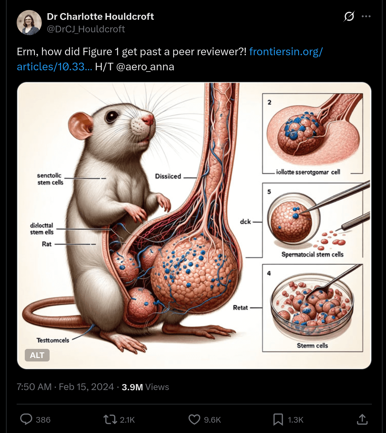 不是，这尺寸也太离谱了……