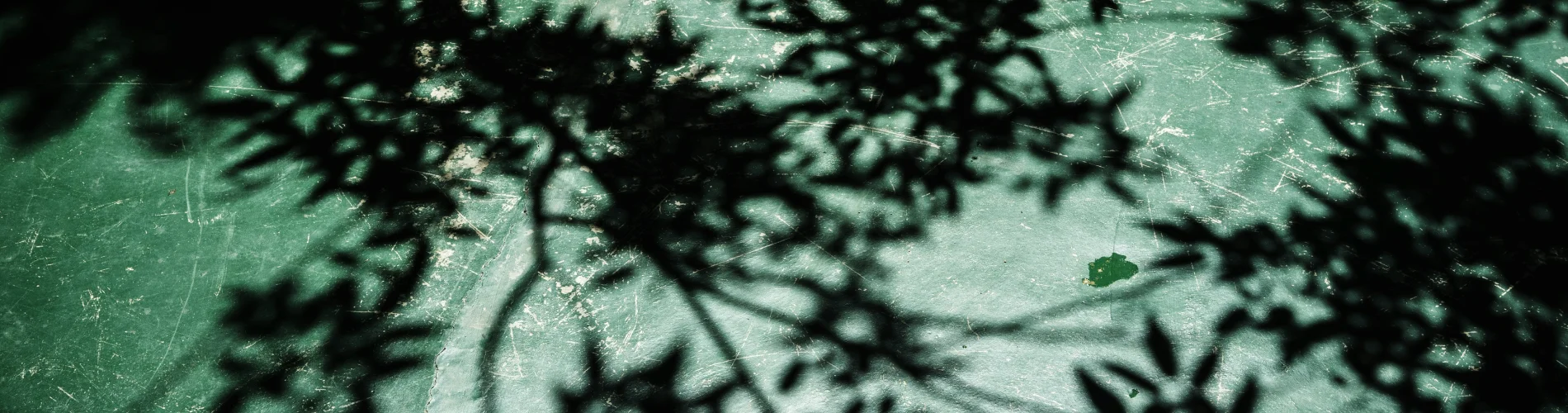 Photo by Ranmali Kirinde