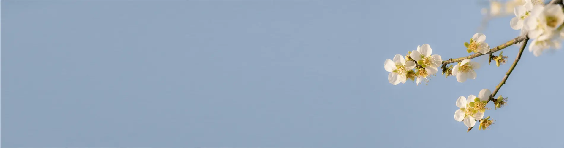 Photo by inyoung jung